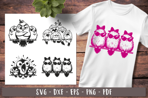 Funny Birds Svg Quirky Birds on a Wire Review
