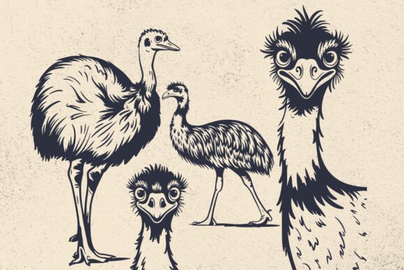 Funny Ostrich Svg File for Cricut – A Playful Graphic Design Asset